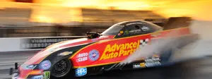Courtney Force
