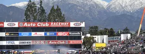 Pomona