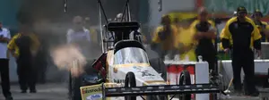TJ Zizzo