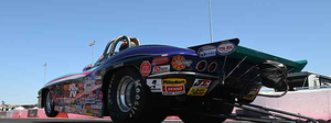 Steve Williams